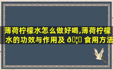 薄荷柠檬水怎么做好喝,薄荷柠檬水的功效与作用及 🦊 食用方法